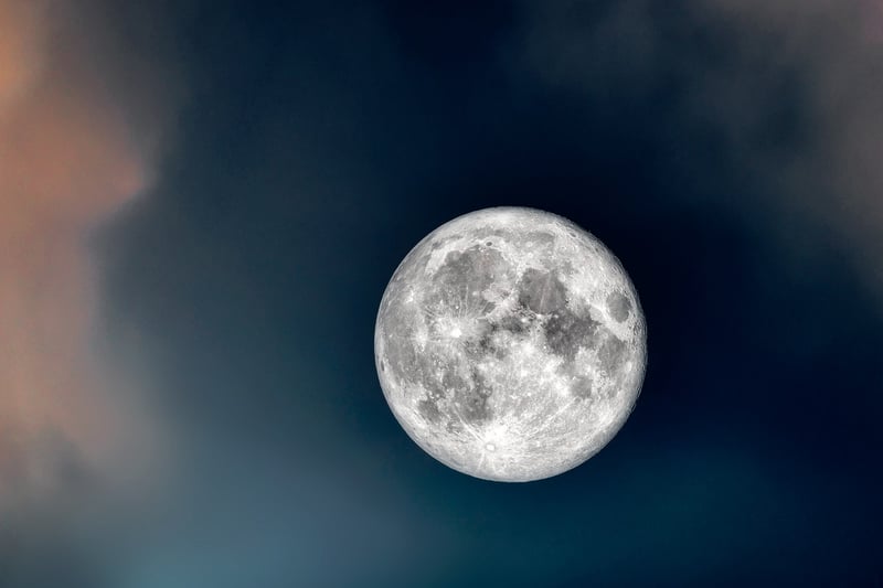 Moonlit Gardens